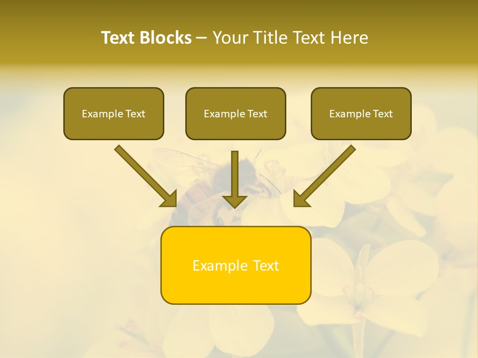 A Bee On A Yellow Flower Powerpoint Template PowerPoint Template