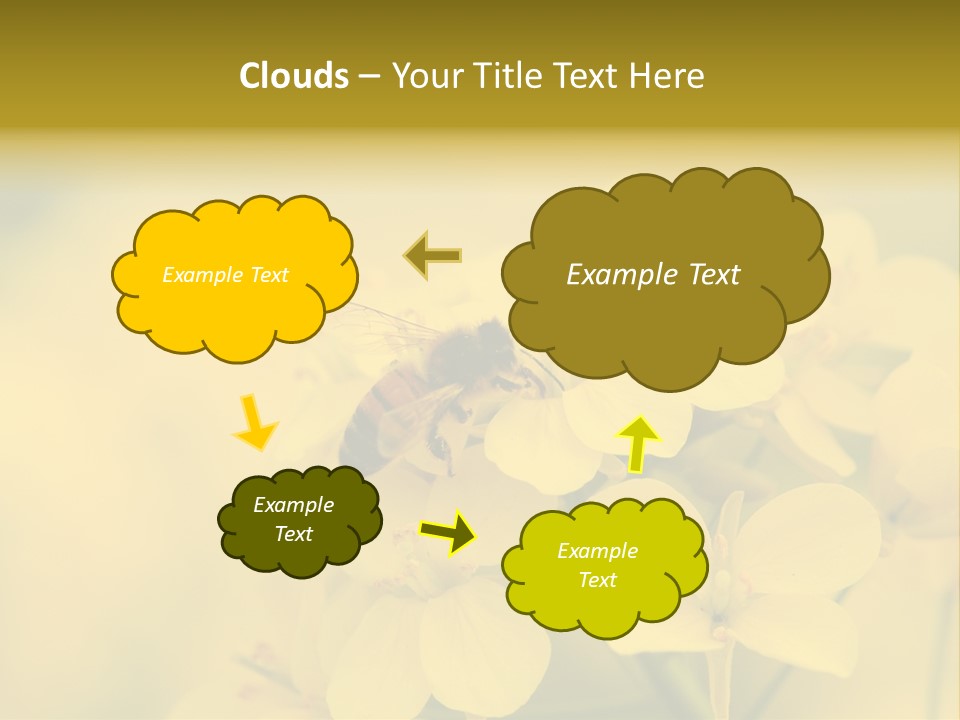 A Bee On A Yellow Flower Powerpoint Template PowerPoint Template