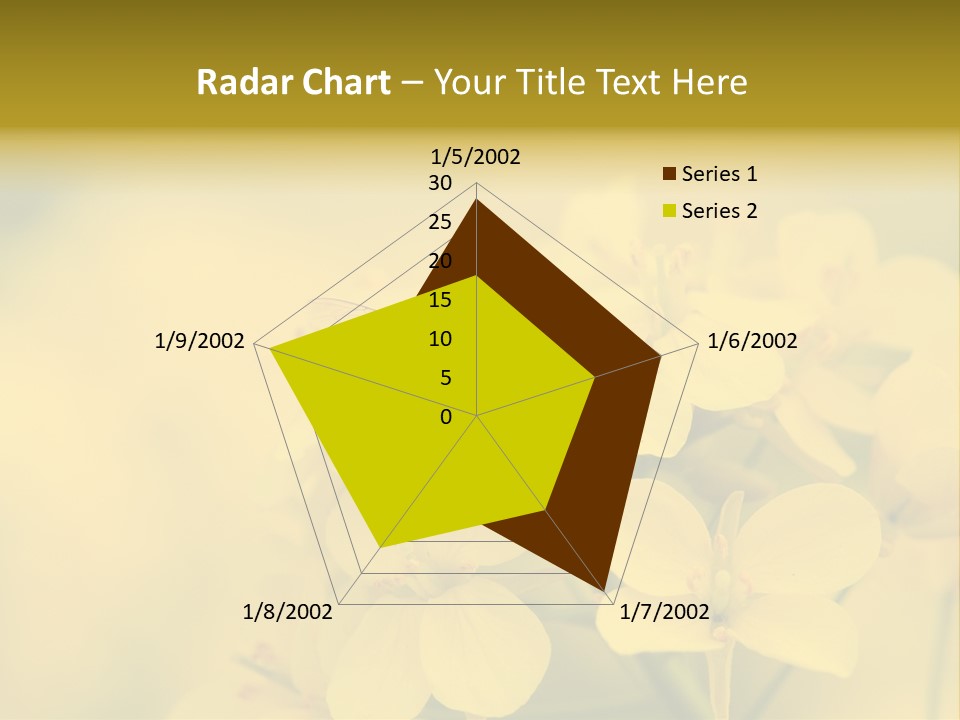 A Bee On A Yellow Flower Powerpoint Template PowerPoint Template