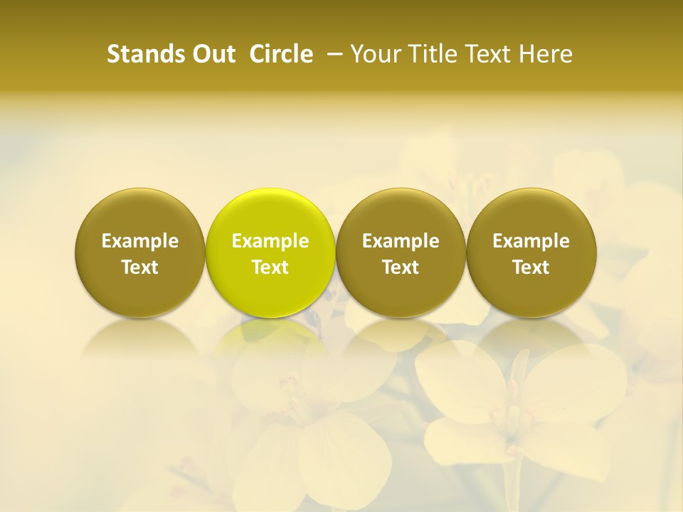 A Bee On A Yellow Flower Powerpoint Template PowerPoint Template