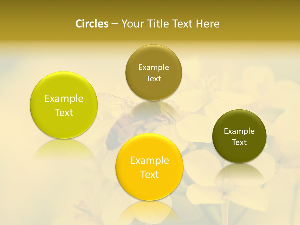 A Bee On A Yellow Flower Powerpoint Template PowerPoint Template