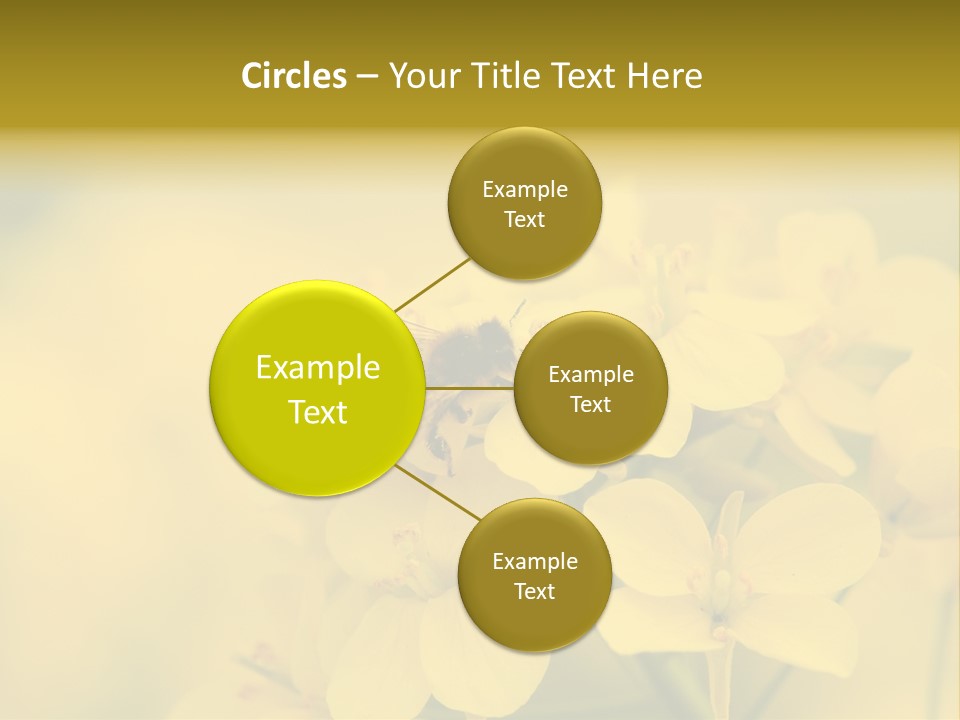 A Bee On A Yellow Flower Powerpoint Template PowerPoint Template