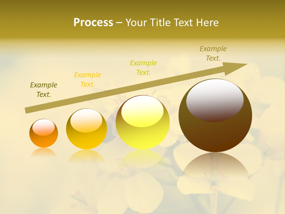 A Bee On A Yellow Flower Powerpoint Template PowerPoint Template