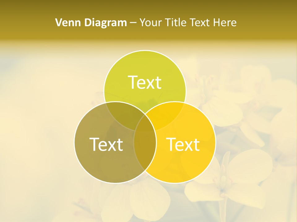 A Bee On A Yellow Flower Powerpoint Template PowerPoint Template