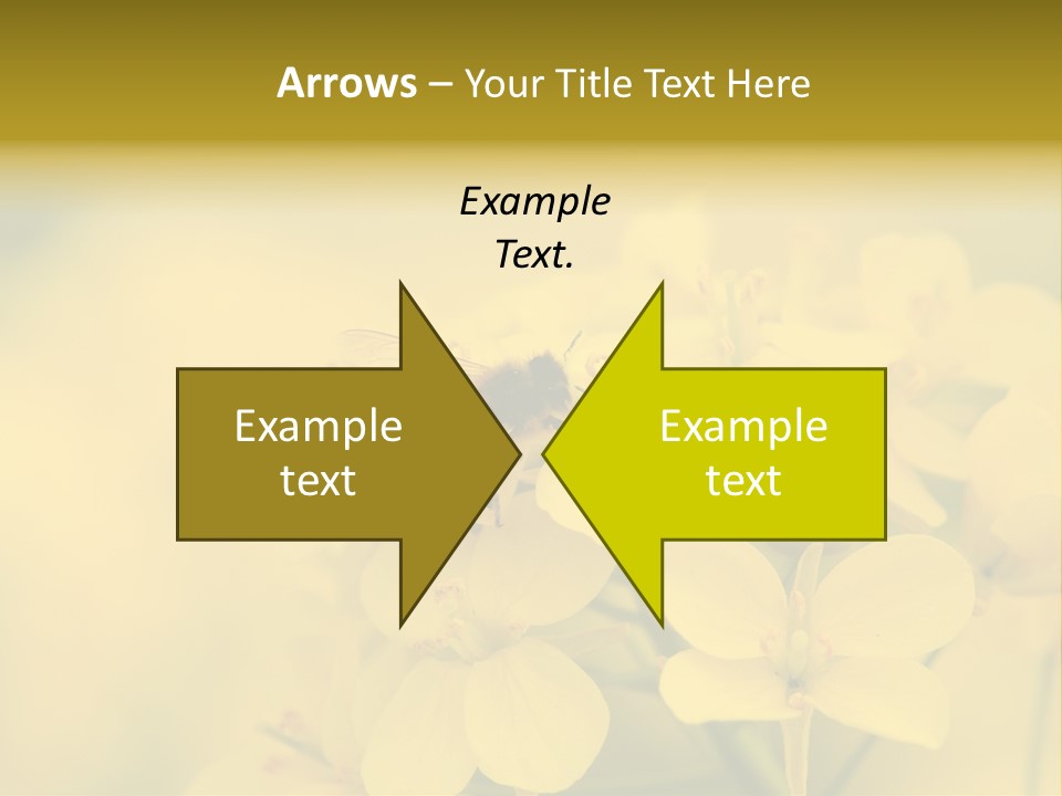 A Bee On A Yellow Flower Powerpoint Template PowerPoint Template