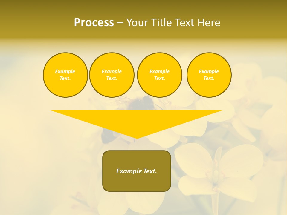 A Bee On A Yellow Flower Powerpoint Template PowerPoint Template