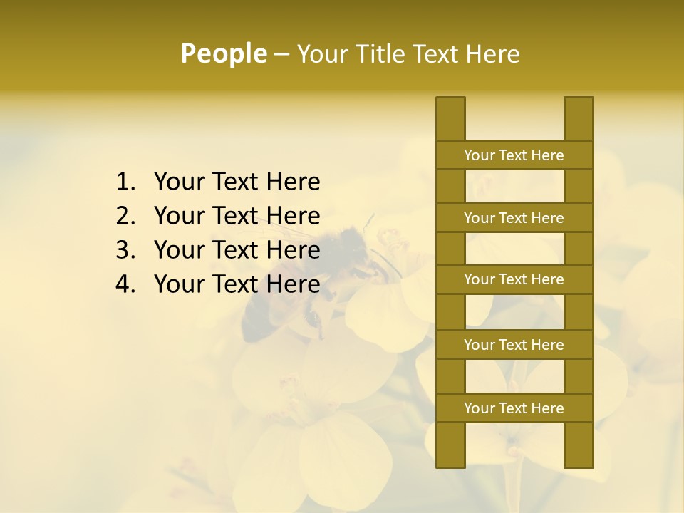 A Bee On A Yellow Flower Powerpoint Template PowerPoint Template