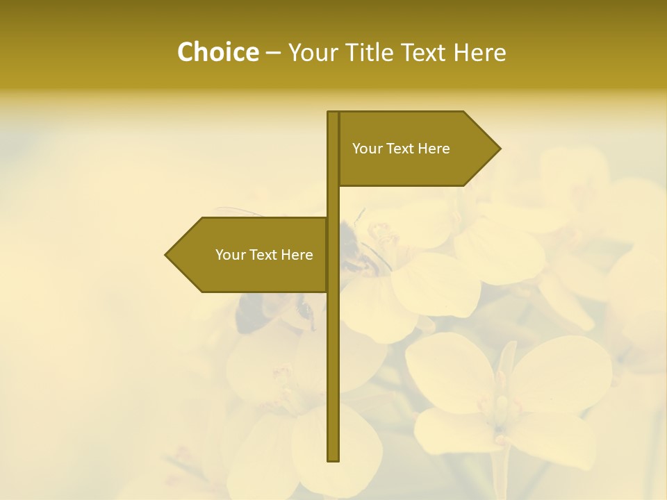 A Bee On A Yellow Flower Powerpoint Template PowerPoint Template