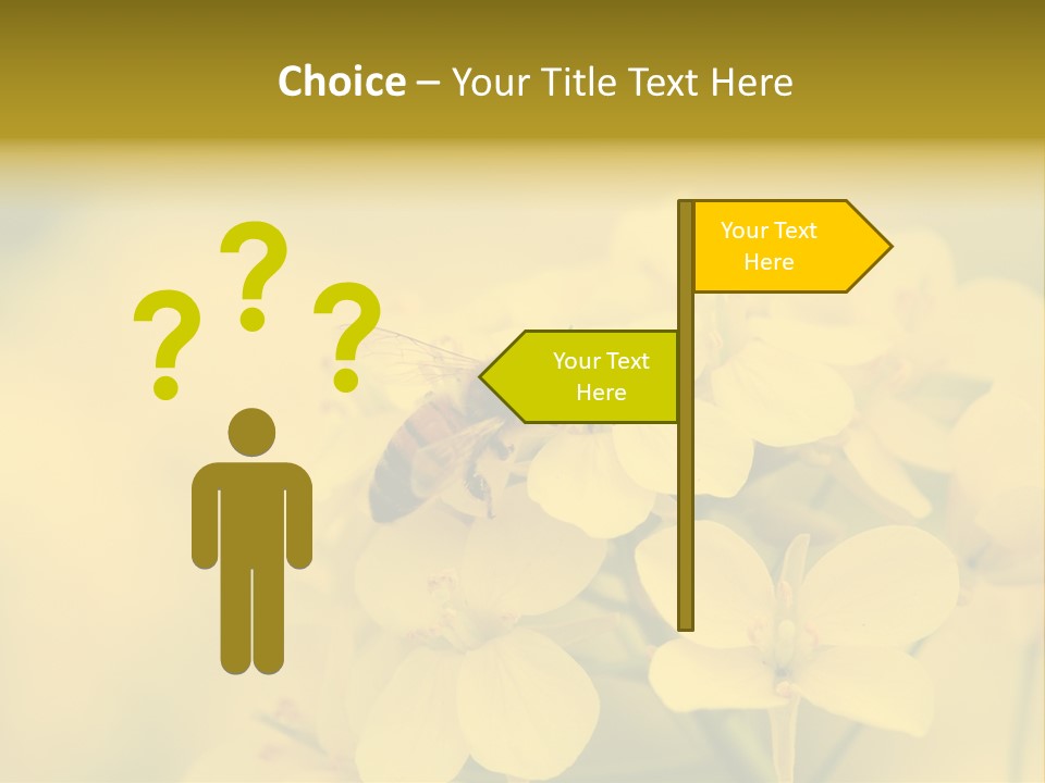 A Bee On A Yellow Flower Powerpoint Template PowerPoint Template
