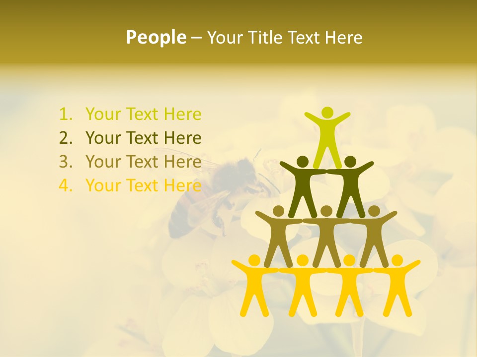 A Bee On A Yellow Flower Powerpoint Template PowerPoint Template