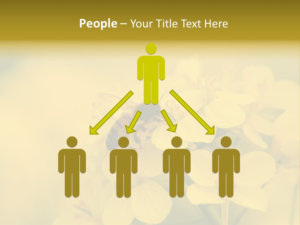 A Bee On A Yellow Flower Powerpoint Template PowerPoint Template