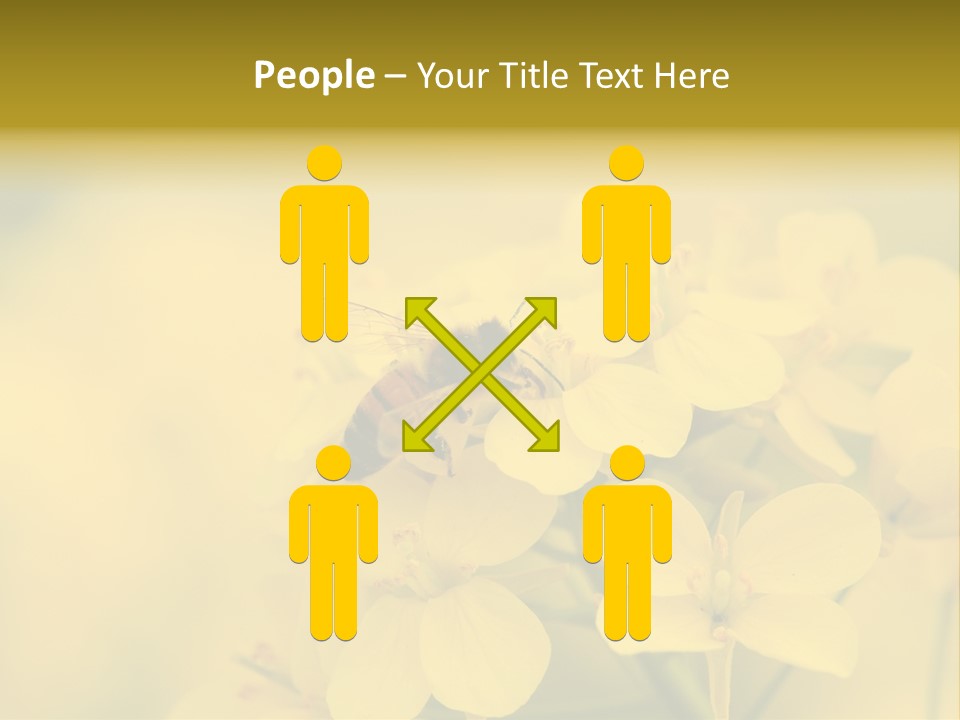 A Bee On A Yellow Flower Powerpoint Template PowerPoint Template