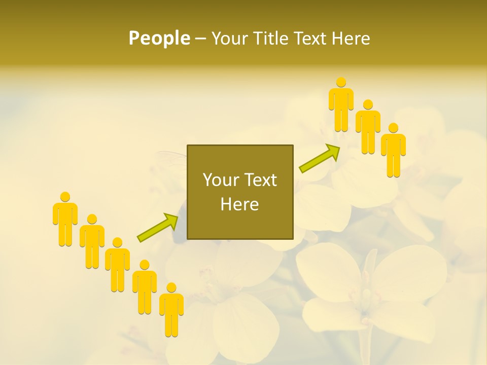 A Bee On A Yellow Flower Powerpoint Template PowerPoint Template