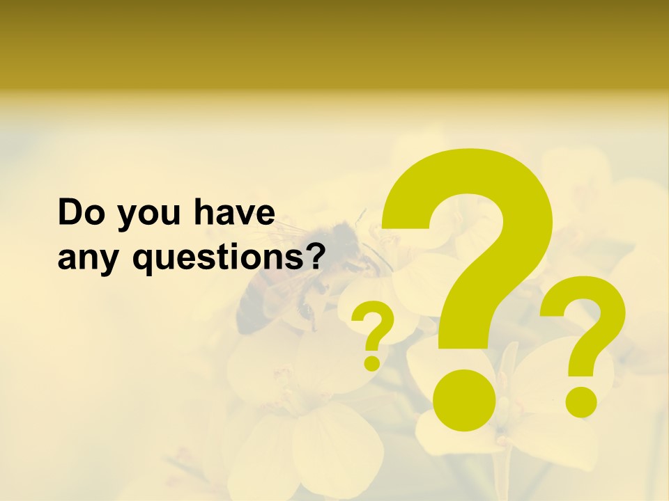 A Bee On A Yellow Flower Powerpoint Template PowerPoint Template