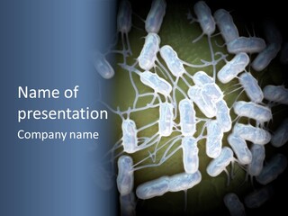 An Image Of A Group Of Germs Powerpoint Presentation PowerPoint Template