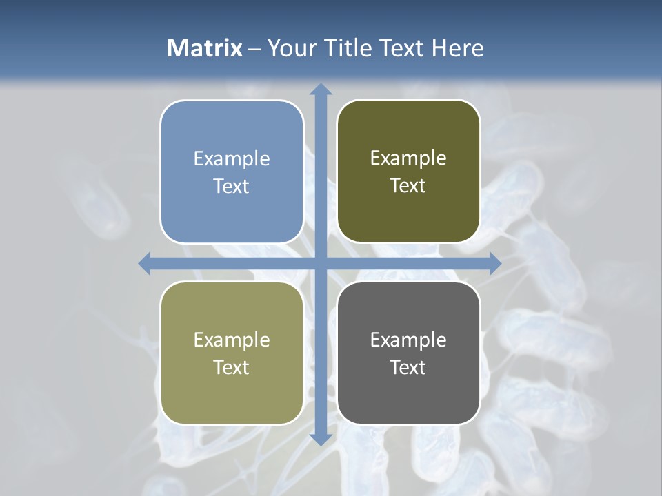 An Image Of A Group Of Germs Powerpoint Presentation PowerPoint Template