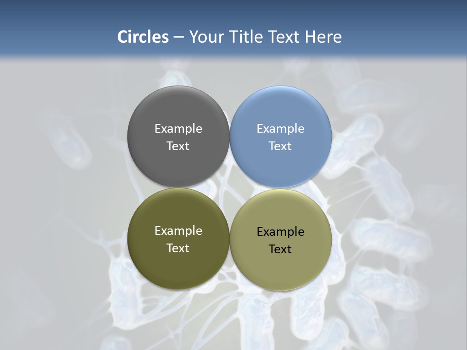 An Image Of A Group Of Germs Powerpoint Presentation PowerPoint Template