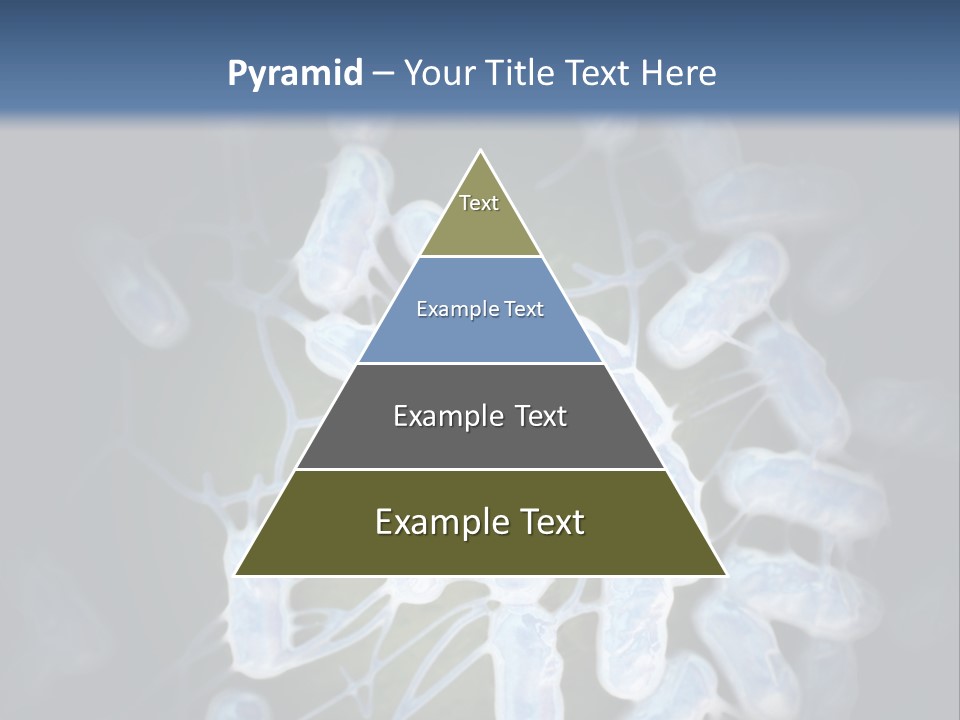 An Image Of A Group Of Germs Powerpoint Presentation PowerPoint Template