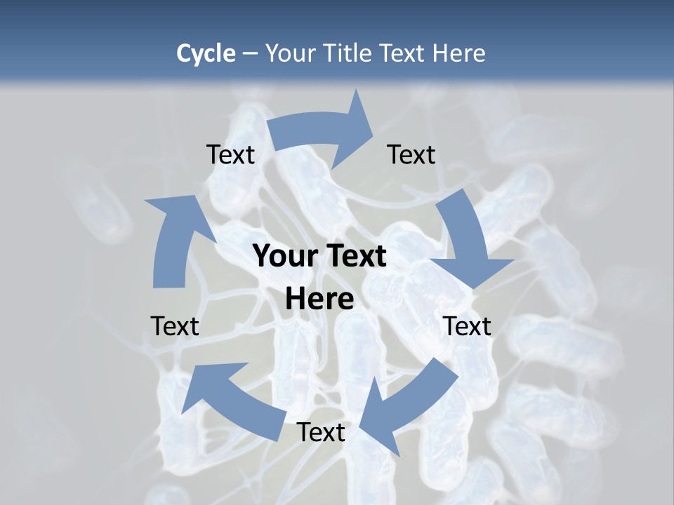 An Image Of A Group Of Germs Powerpoint Presentation PowerPoint Template