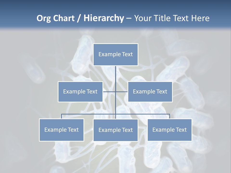 An Image Of A Group Of Germs Powerpoint Presentation PowerPoint Template