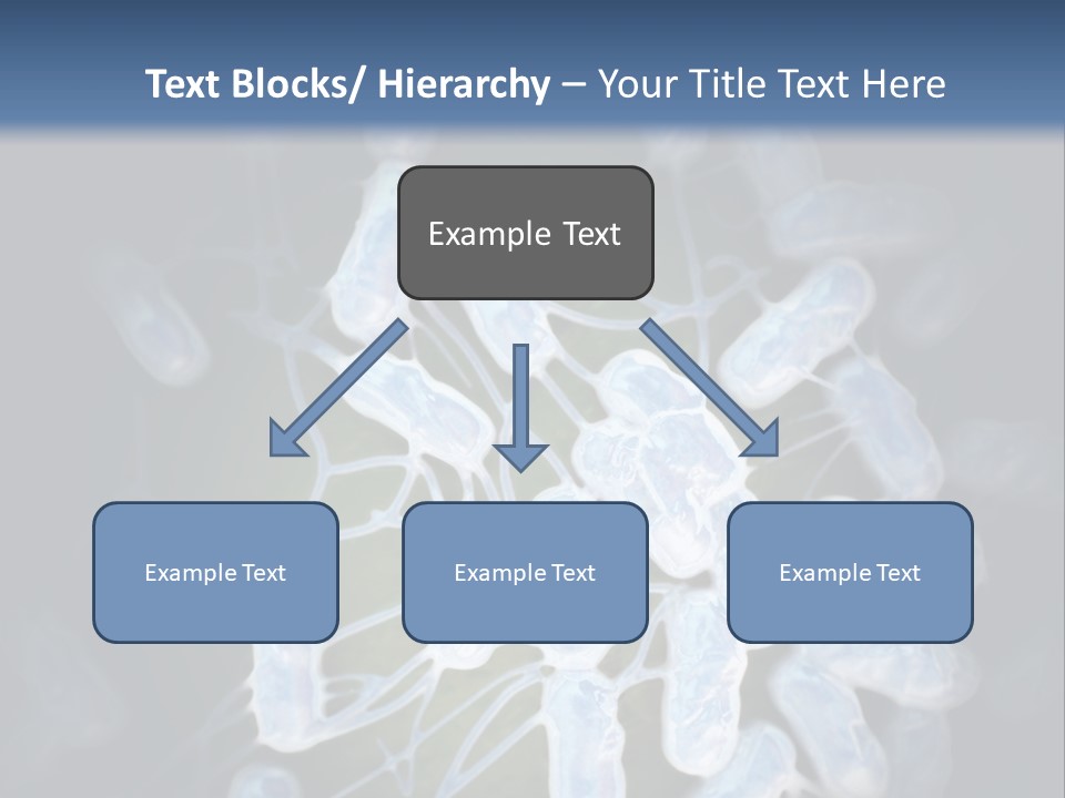 An Image Of A Group Of Germs Powerpoint Presentation PowerPoint Template