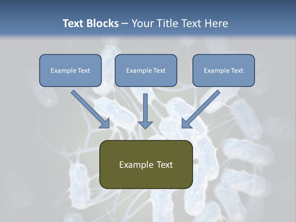 An Image Of A Group Of Germs Powerpoint Presentation PowerPoint Template