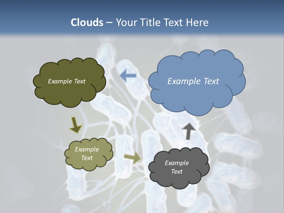 An Image Of A Group Of Germs Powerpoint Presentation PowerPoint Template