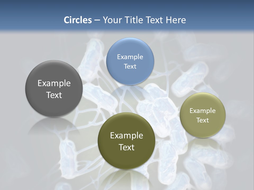 An Image Of A Group Of Germs Powerpoint Presentation PowerPoint Template