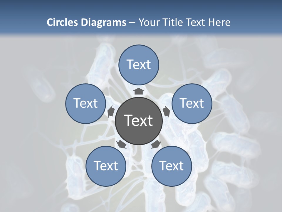 An Image Of A Group Of Germs Powerpoint Presentation PowerPoint Template