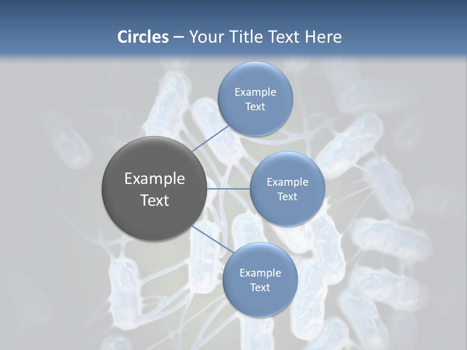 An Image Of A Group Of Germs Powerpoint Presentation PowerPoint Template