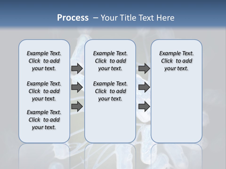 An Image Of A Group Of Germs Powerpoint Presentation PowerPoint Template