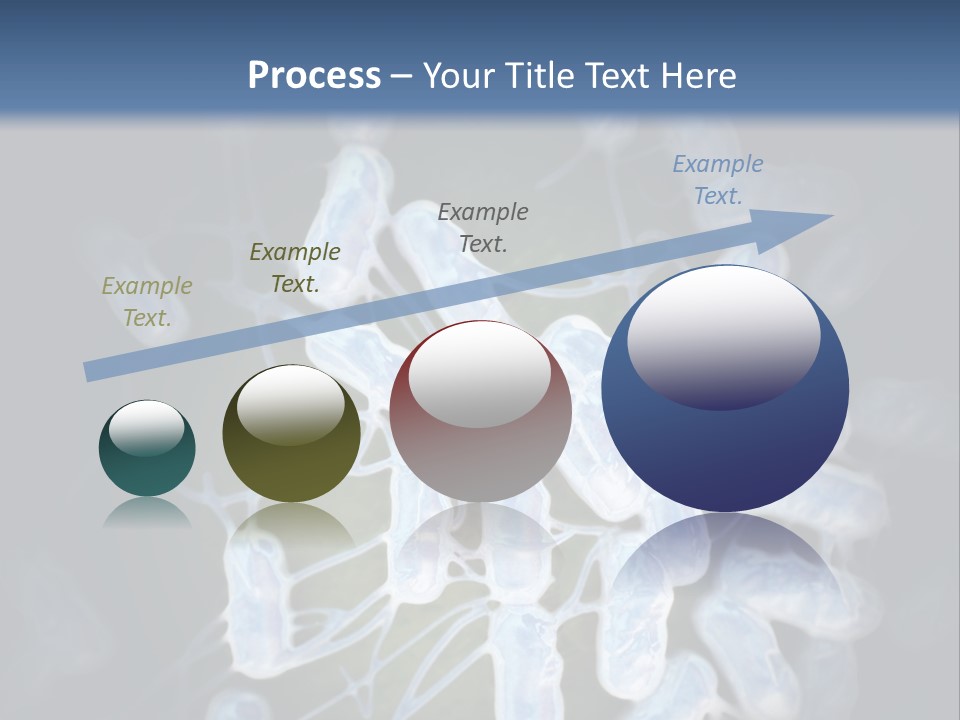 An Image Of A Group Of Germs Powerpoint Presentation PowerPoint Template