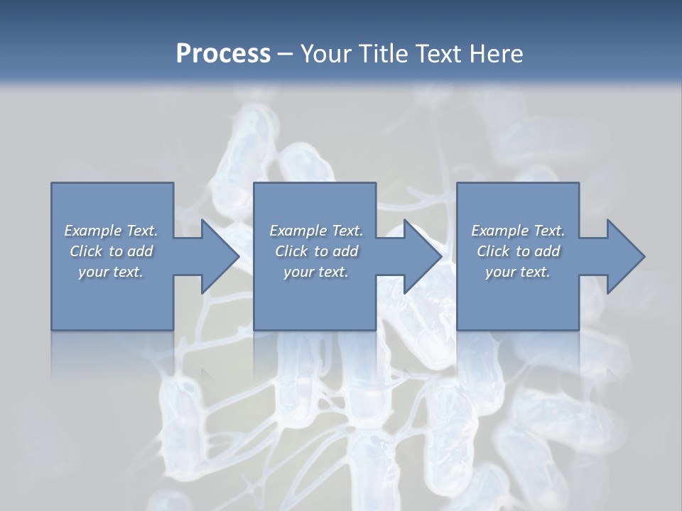 An Image Of A Group Of Germs Powerpoint Presentation PowerPoint Template