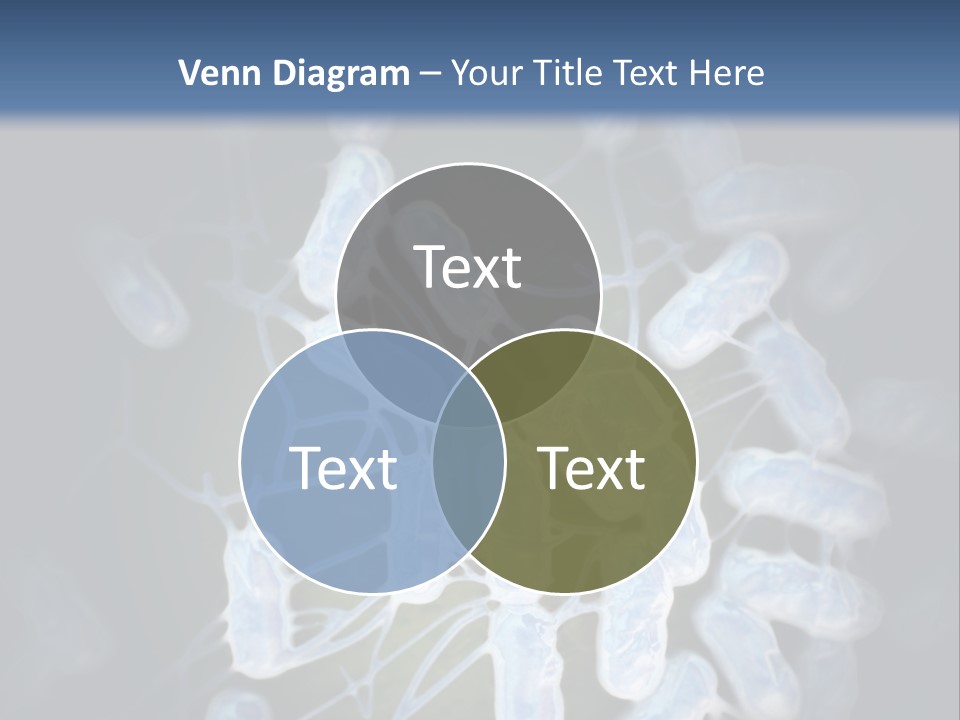 An Image Of A Group Of Germs Powerpoint Presentation PowerPoint Template