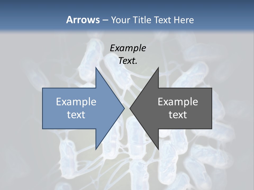 An Image Of A Group Of Germs Powerpoint Presentation PowerPoint Template