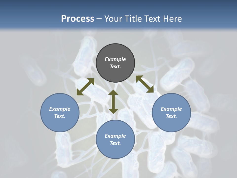 An Image Of A Group Of Germs Powerpoint Presentation PowerPoint Template