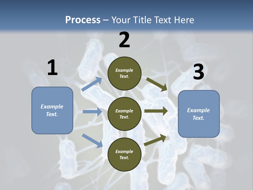 An Image Of A Group Of Germs Powerpoint Presentation PowerPoint Template