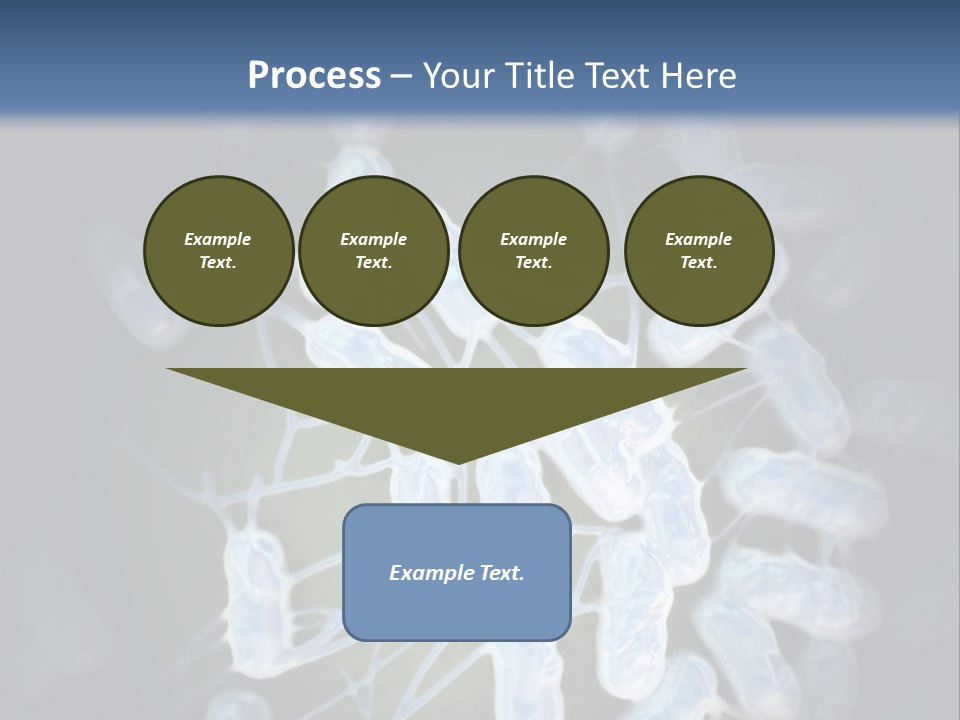 An Image Of A Group Of Germs Powerpoint Presentation PowerPoint Template