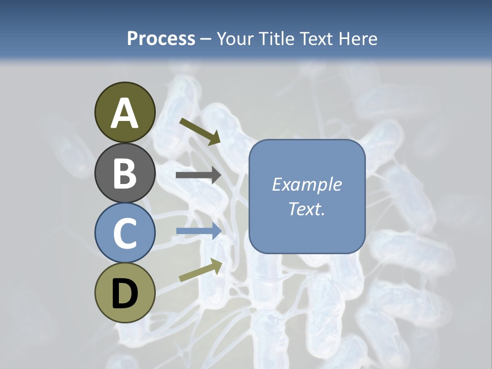 An Image Of A Group Of Germs Powerpoint Presentation PowerPoint Template