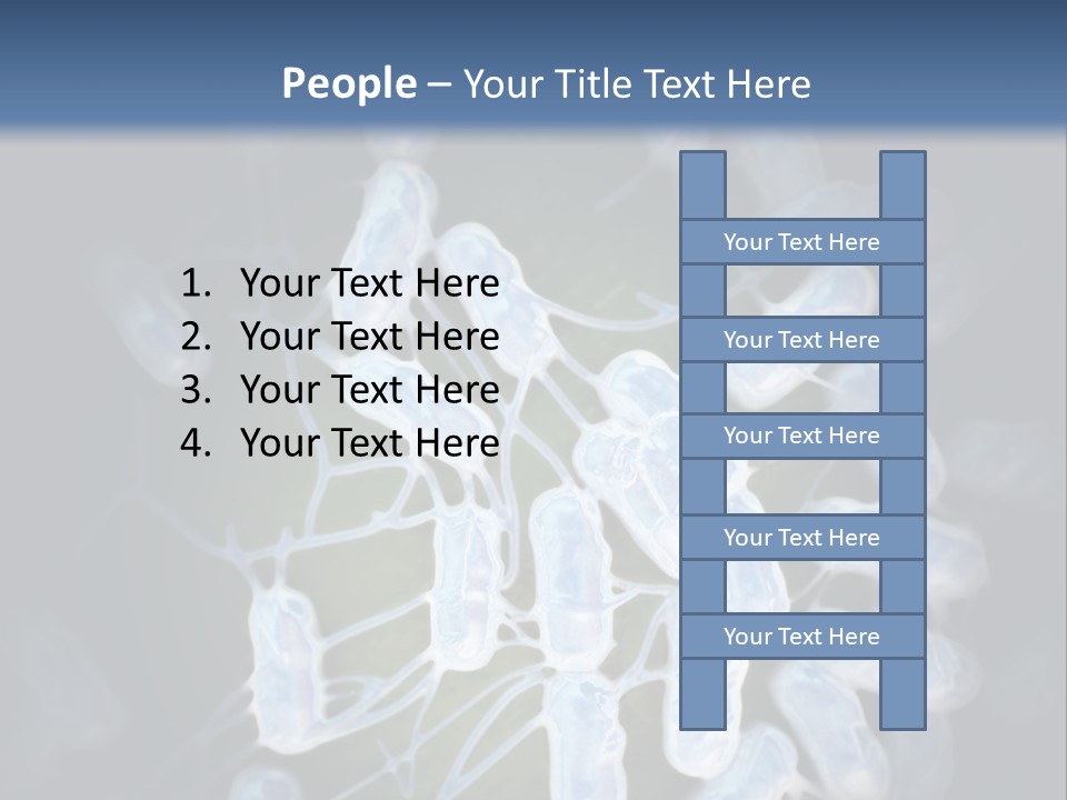 An Image Of A Group Of Germs Powerpoint Presentation PowerPoint Template