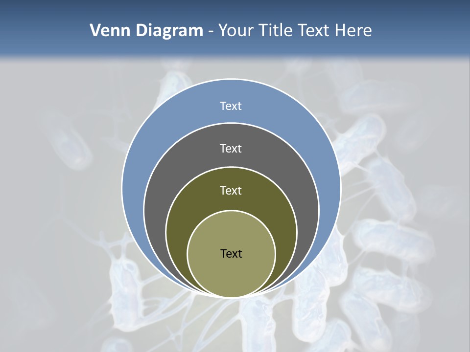 An Image Of A Group Of Germs Powerpoint Presentation PowerPoint Template