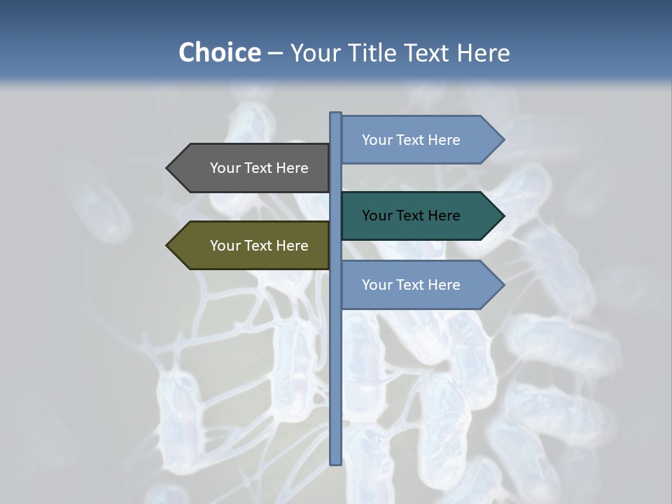 An Image Of A Group Of Germs Powerpoint Presentation PowerPoint Template