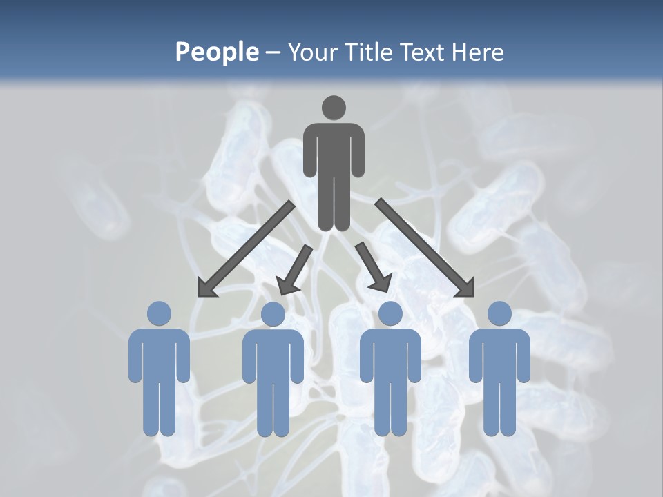 An Image Of A Group Of Germs Powerpoint Presentation PowerPoint Template