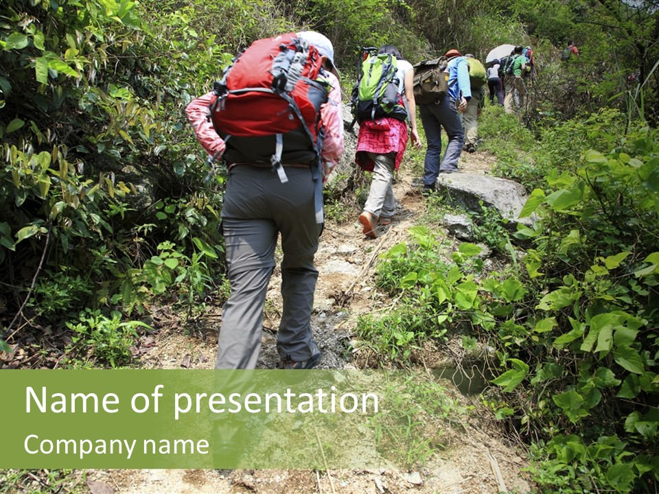 A Group Of People Hiking Up A Trail In The Woods PowerPoint Template