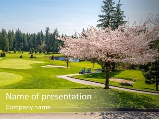 A Golf Course With Cherry Blossoms On The Trees PowerPoint Template