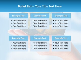 A Person Holding A Small Globe In Their Hand PowerPoint Template