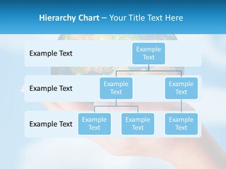 A Person Holding A Small Globe In Their Hand PowerPoint Template