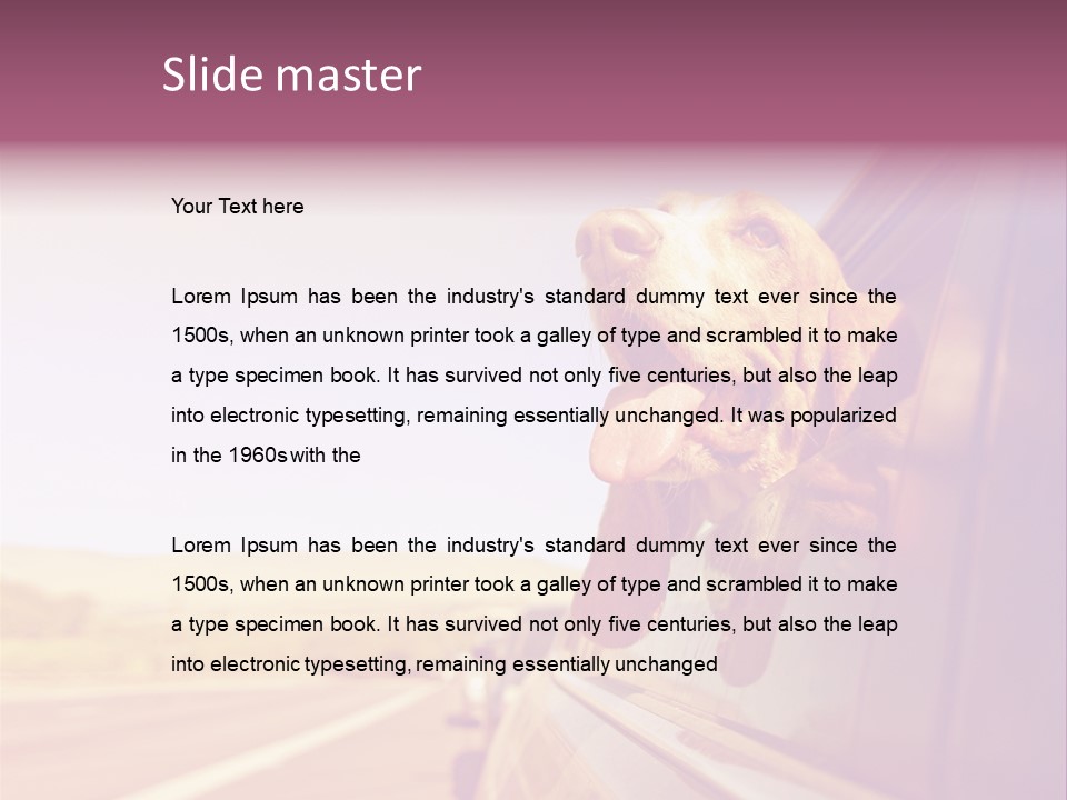 A Dog Sticking Its Head Out Of A Car Window PowerPoint Template