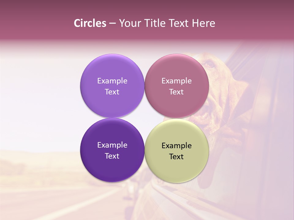 A Dog Sticking Its Head Out Of A Car Window PowerPoint Template