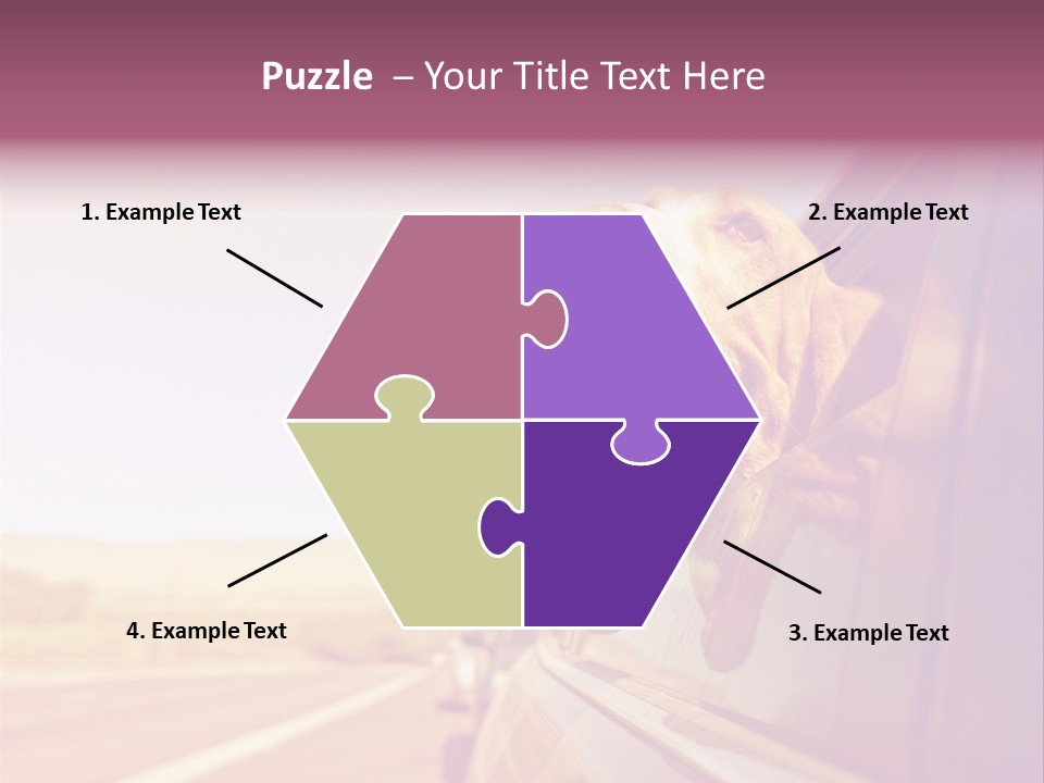 A Dog Sticking Its Head Out Of A Car Window PowerPoint Template
